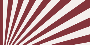White rays on red background from CLBB Neurolaw Library